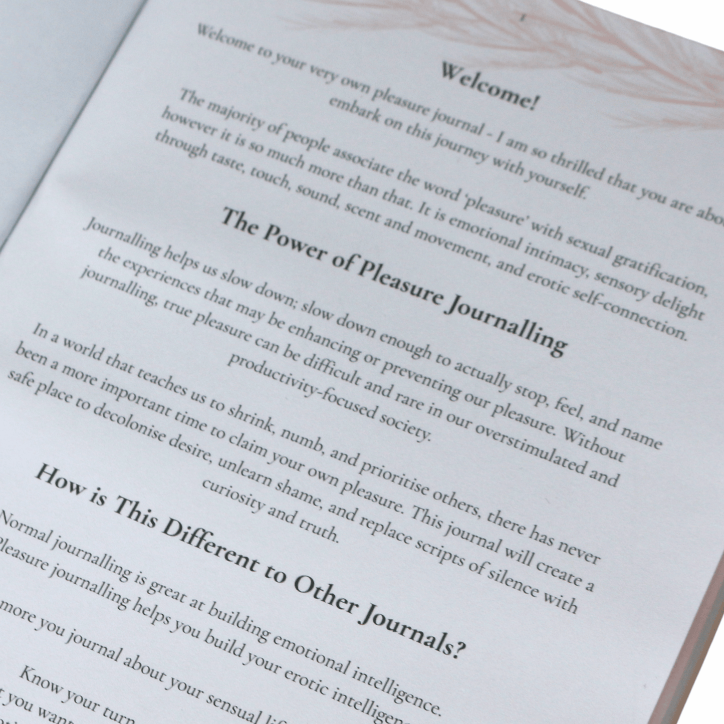 My Pleasure Journal - Velvet Rose