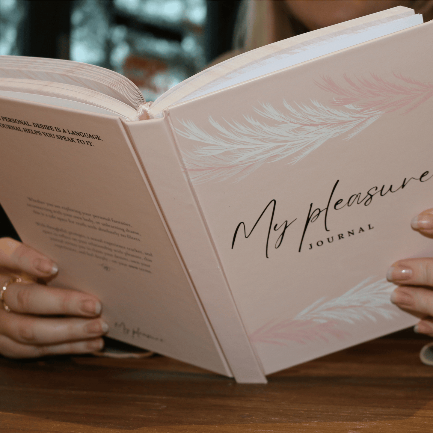 My Pleasure Journal - Velvet Rose