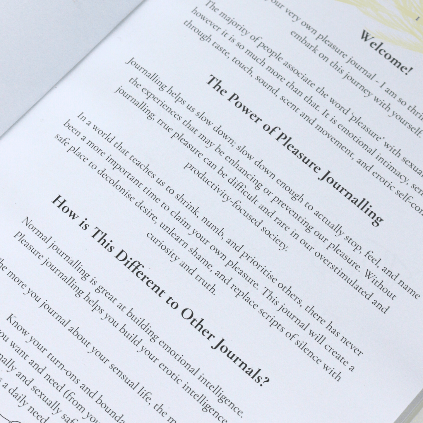 Text from a pleasure journal with headings and introductory text.