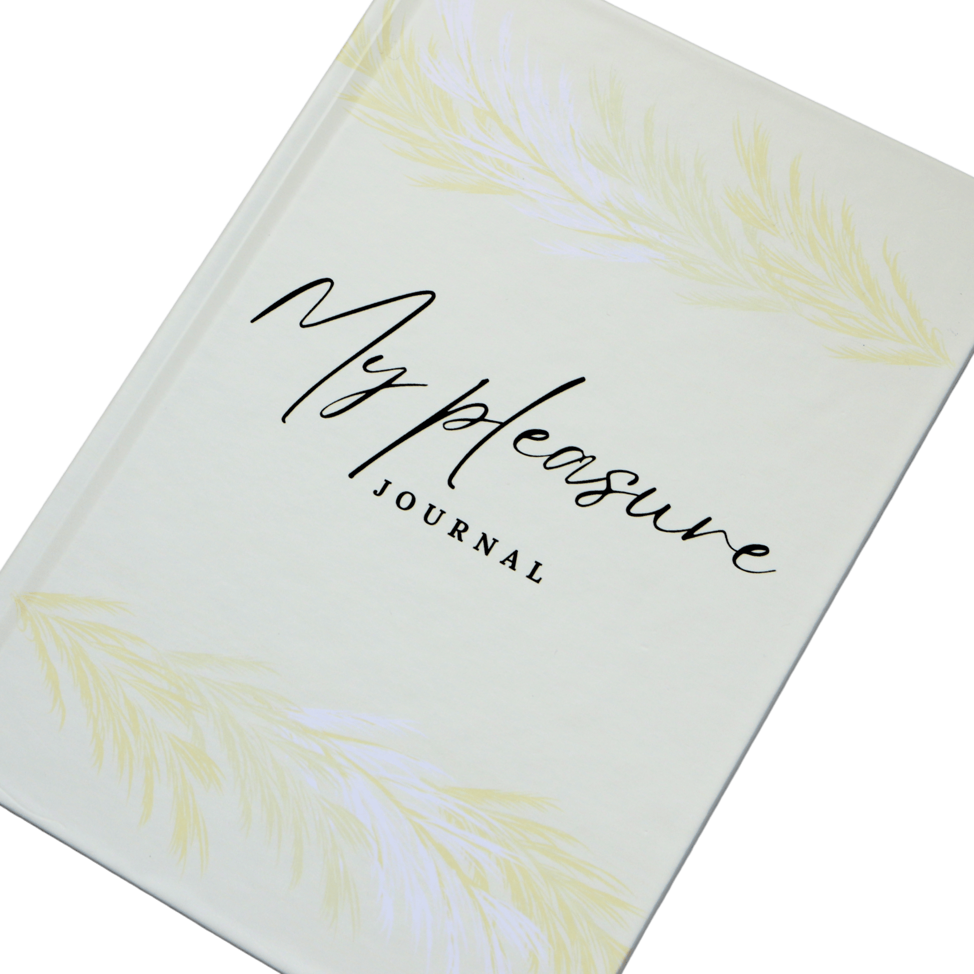 Journal with 'My Pleasure Journal' text on a white background